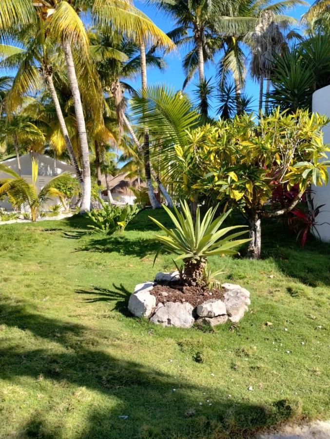 Alito Tulum Hotel Bagian luar foto