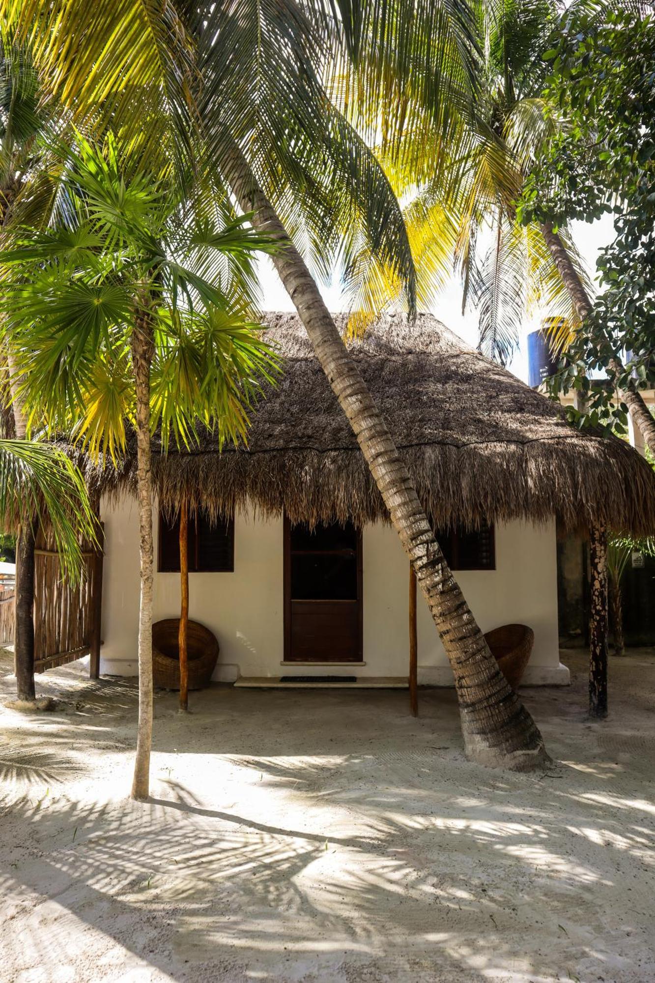 Alito Tulum Hotel Bagian luar foto